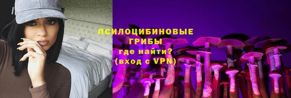 дживик Алексин