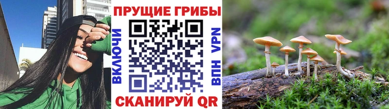 Галлюциногенные грибы ЛСД  Орёл 
